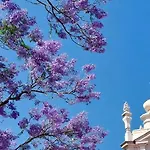 Jacaranda, Your Stylish Retreat In Apartmán