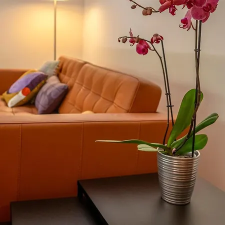 Jacaranda, Your Stylish Retreat In