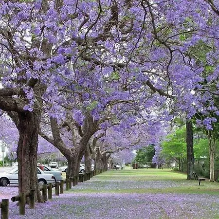 아파트 Jacaranda, Your Stylish Retreat In *