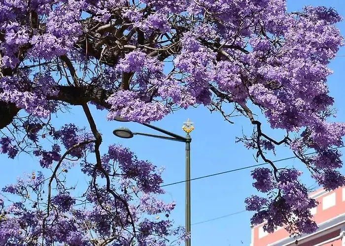 شقة Jacaranda, Your Stylish Retreat In *