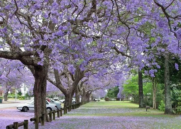 شقة Jacaranda, Your Stylish Retreat In *