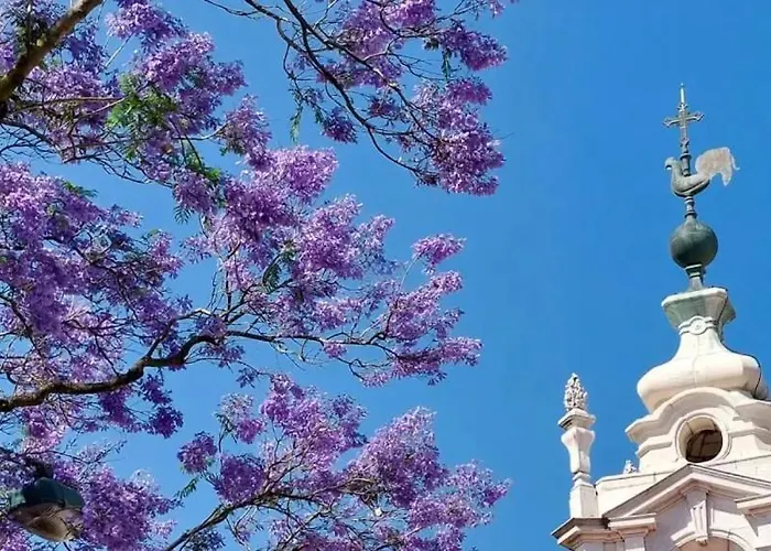 Jacaranda, Your Stylish Retreat In شقة