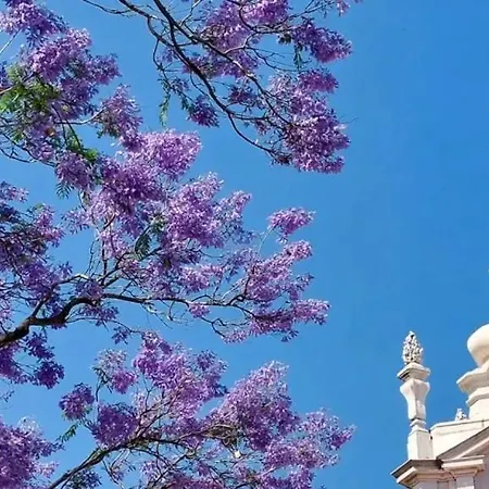 Jacaranda, Your Stylish Retreat In Apartman